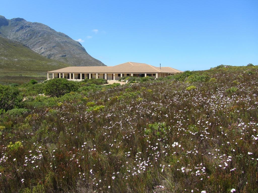 Kapensis Guesthouse Pringle Bay Esterno foto
