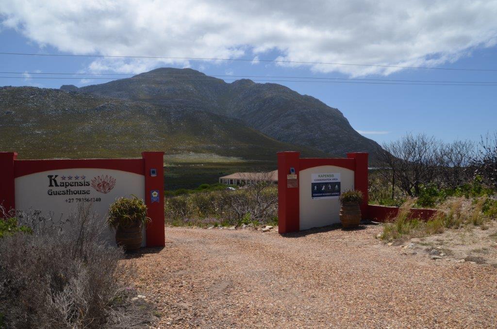 Kapensis Guesthouse Pringle Bay Esterno foto