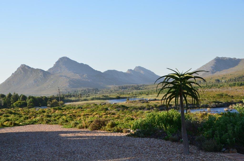Kapensis Guesthouse Pringle Bay Esterno foto
